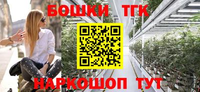 гидра Можайск