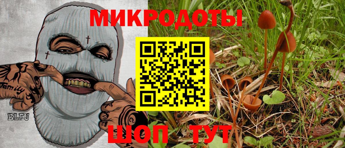 Галлюциногенные грибы GOLDEN TEACHER Чехов